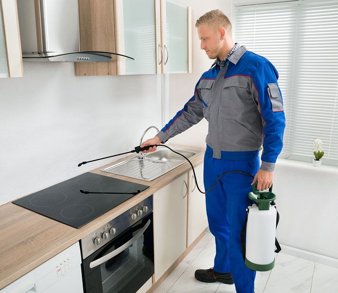 شركه رش مبيدات بأبها