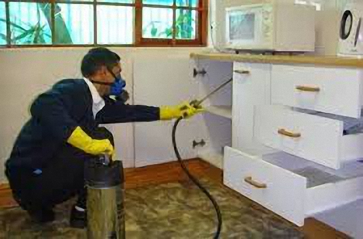 شركه رش مبيدات بأبها