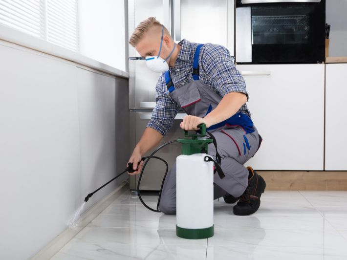 شركه رش مبيدات بأبها