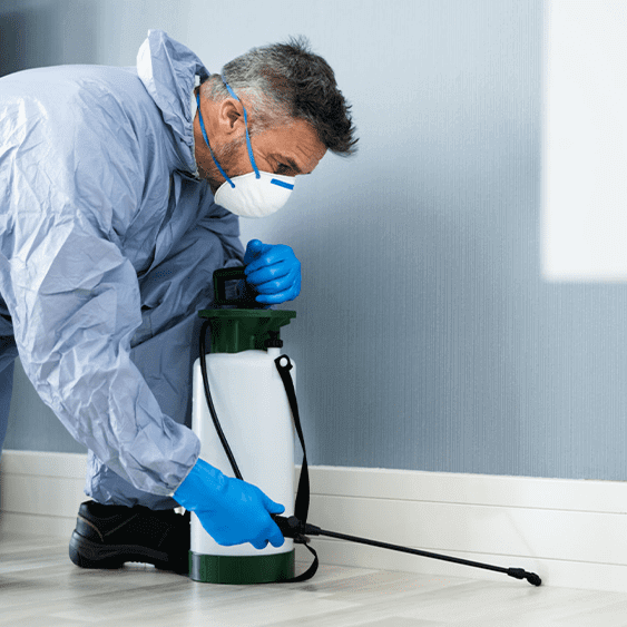 شركه رش مبيدات بأبها